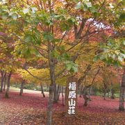 紅葉期間のみの公開