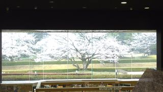 絵ではありません