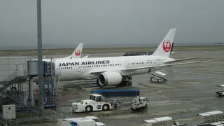 飛行機の形をした飛行場