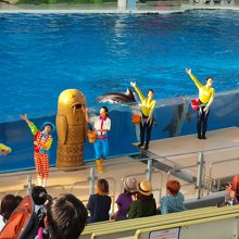 ショーは時間を確認していくと確実です