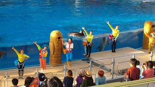 家族連れやカップルで楽しめる、定番の水族館