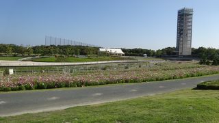 広大な花の施設