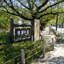 北側の銀閣寺近くの起点。