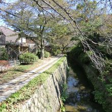 このように柵のないところもあります。