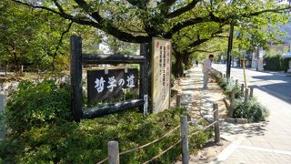 琵琶湖疎水の分水に沿った小道