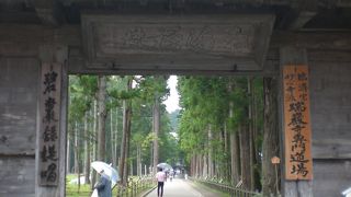 本堂は入れなかったけど散歩してみて！