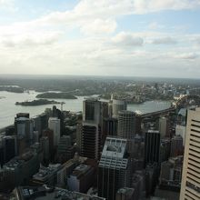 シドニーを360°見下ろせます