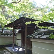 緑が美しく、落ち着いた雰囲気でした。