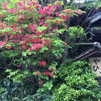 宝泉寺温泉　旅館　やひろ 写真