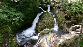 白樺を愛して、八千穂高原に集まって来る人々の願い
