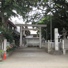 昔懐かしい雰囲気