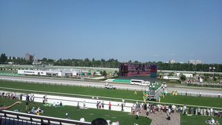 家族で楽しめる