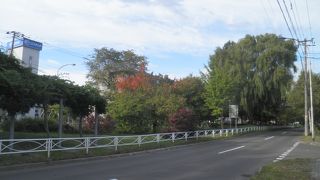 紅葉が始まっていました