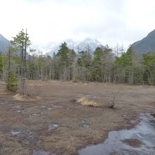 消え行く運命にある湿原