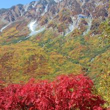 黒部平から見た立山連峰