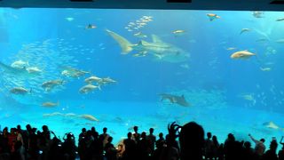 何度行っても飽きない