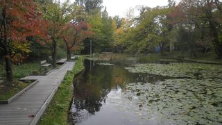 周辺の樹木の紅葉が始まった