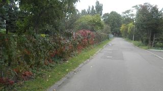 長く真っ直ぐな道