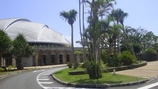 奄美観光はここから