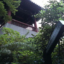 間近で見るとなかなか高く見えます。