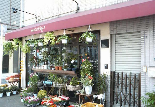 芽ぶき屋 船橋店