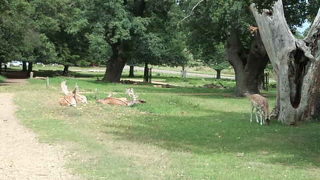 めちゃくちゃ広い