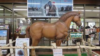 コンパクトな空港。周囲は大平原です。