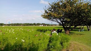 子供だけじゃない。大人も楽しめる福岡のオアシス！