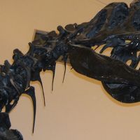 出迎えありがとう