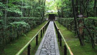 高桐院