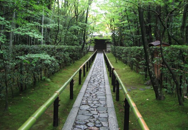 高桐院