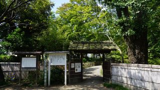 文人画的な墨画から色鮮やかな花鳥図まで多彩な画業