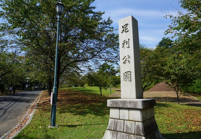 足利公園 クチコミ アクセス 営業時間 足利 フォートラベル 足利公園 クチコミ アクセス 営業時間 足利 フォートラベル
