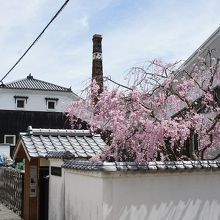 カネヰ醤油工場