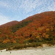 大山の紅葉は文化の日前後が最盛期