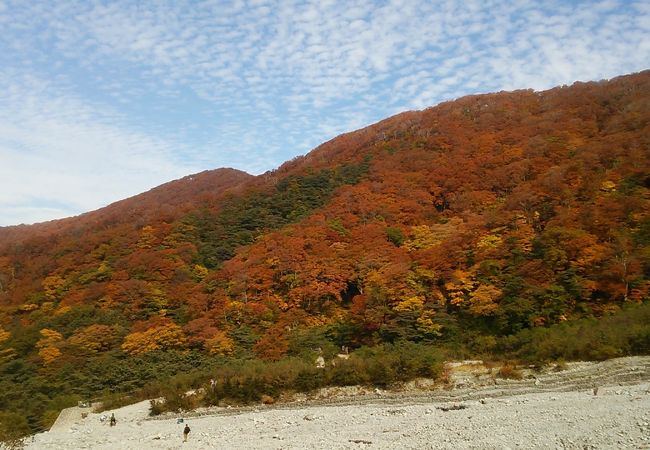 大山の紅葉は文化の日前後が最盛期