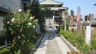 与謝野蕪村にゆかりの寺です。