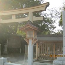 この鳥居の前の参道も長く続いています。