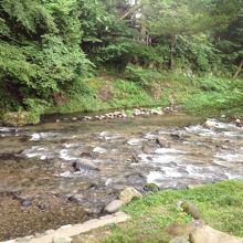 心が浄められる気がします。