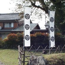 葵の紋が描かれた幟