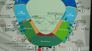 野球ファンにはたまりません