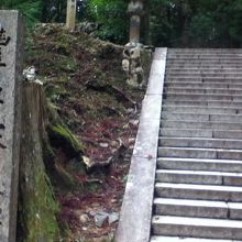 歴史をもっと勉強しておけばと悔やまれます