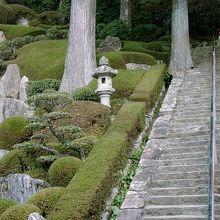 石段横に広がる庭園