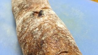 ブロートラント