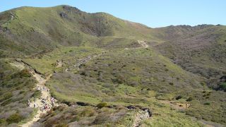 山頂一帯はミヤマキリシマの一大群生地　扇ヶ鼻