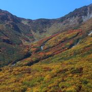 立山ロープウェイから見た紅葉は絶景