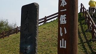 行くなら春の菜の花と桜並木がある時期に