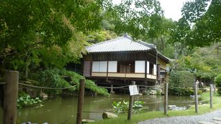 ここからの市内の展望が見られる