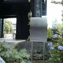 この日、表側は柵で仕切られていました。