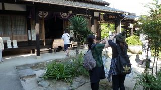 五重塔が見える風景が美しい